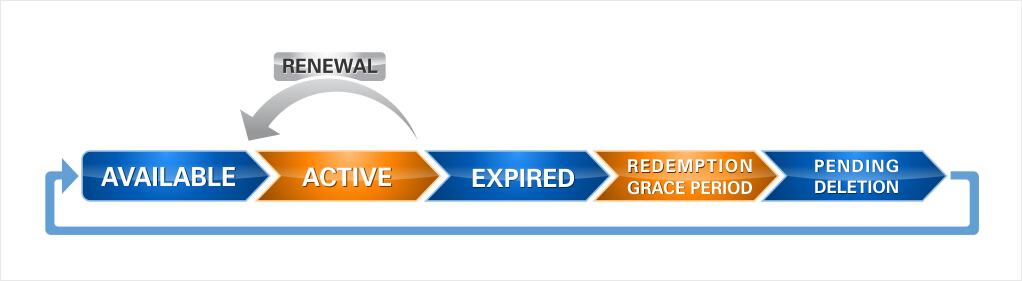 domain name lifecycle