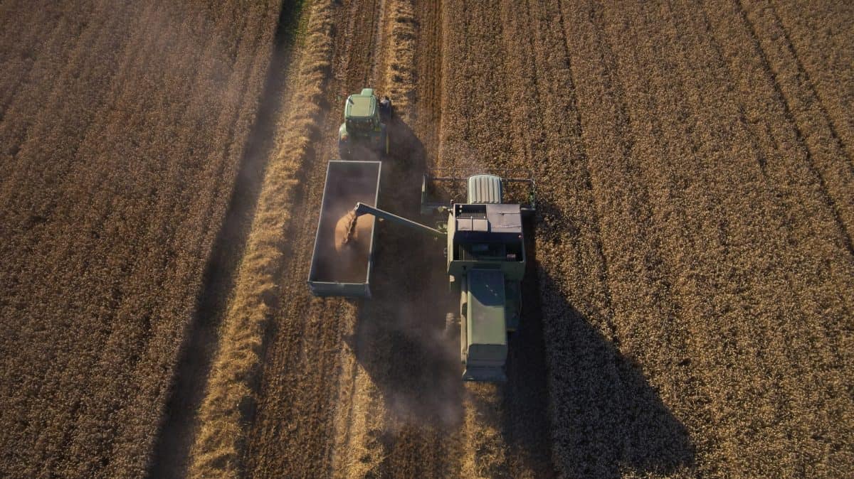 Aerial View As Tractor Collects Wheat From Combine Harvester