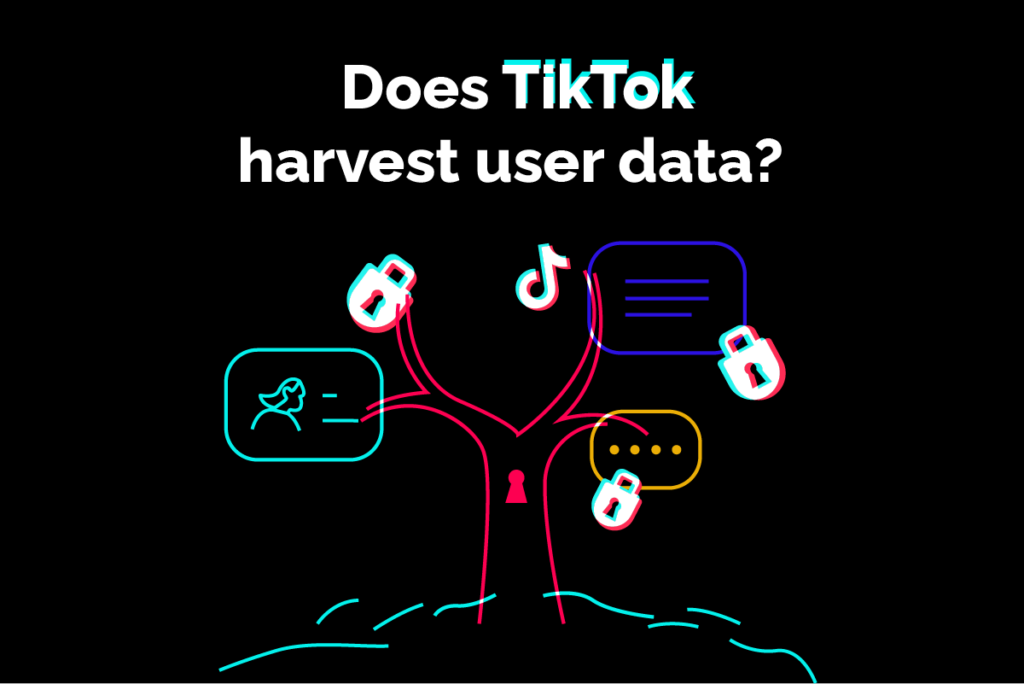 what data does tiktok collect from users