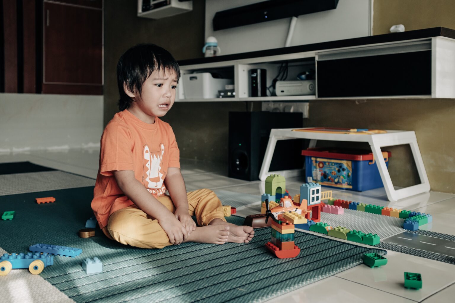 Domain Backorders The Ultimate Guide to the Best Backorder Services